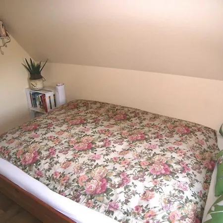 Apartment Haushaelfte _gothensee_ *